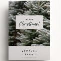 Ardross Christmas Voucher