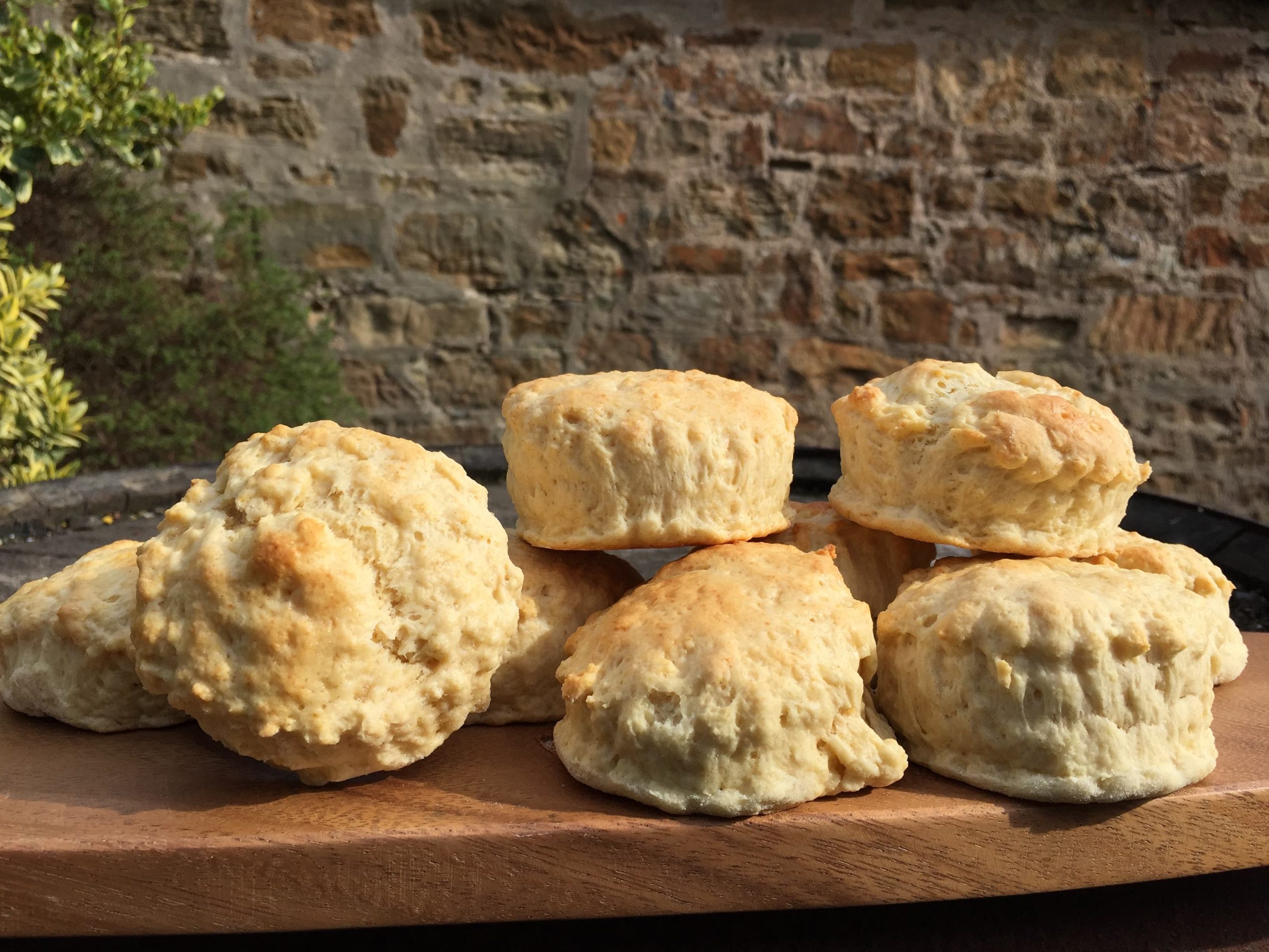 freshly baked scones