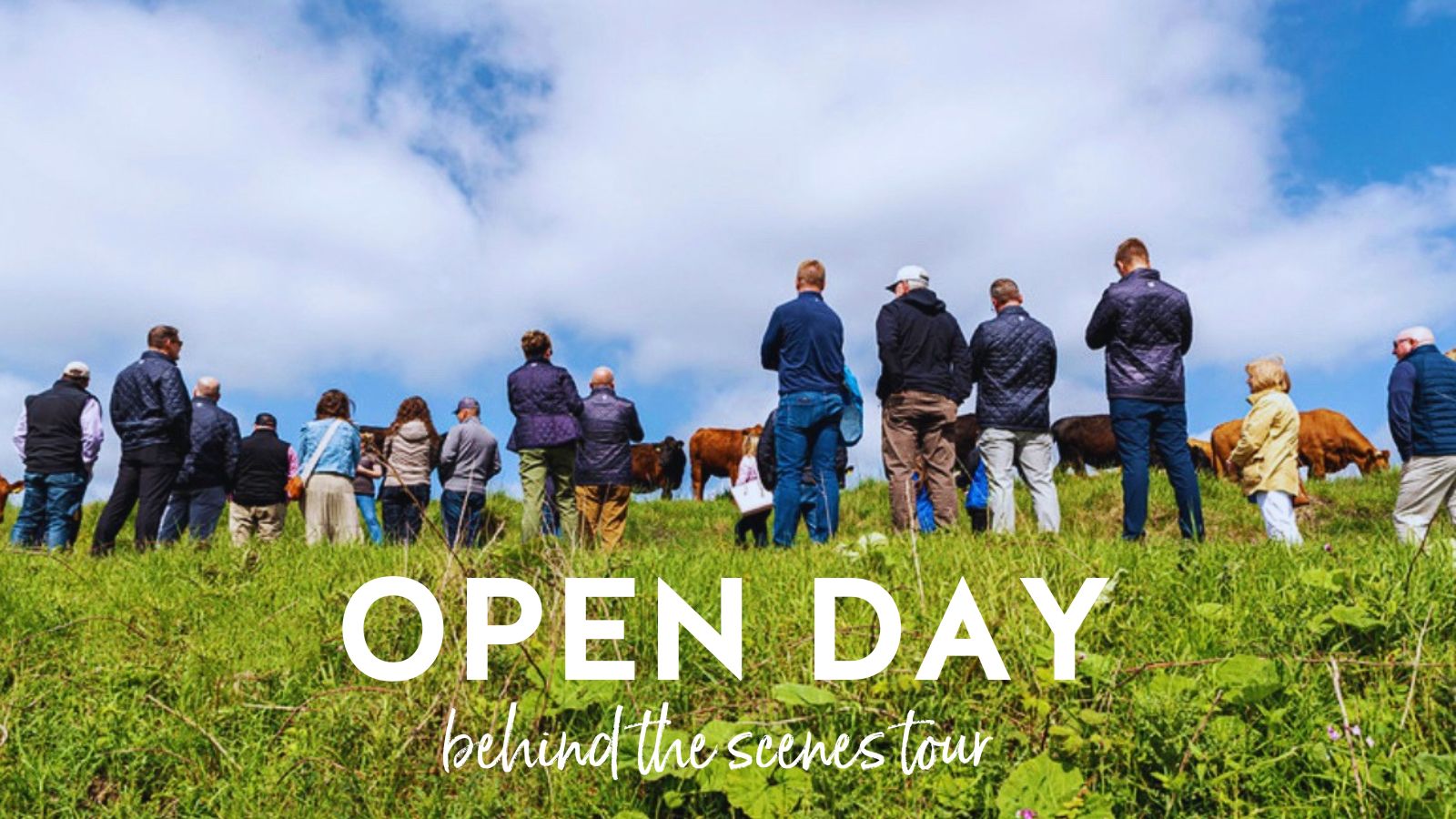 Open Day, Behind the scenes Tour