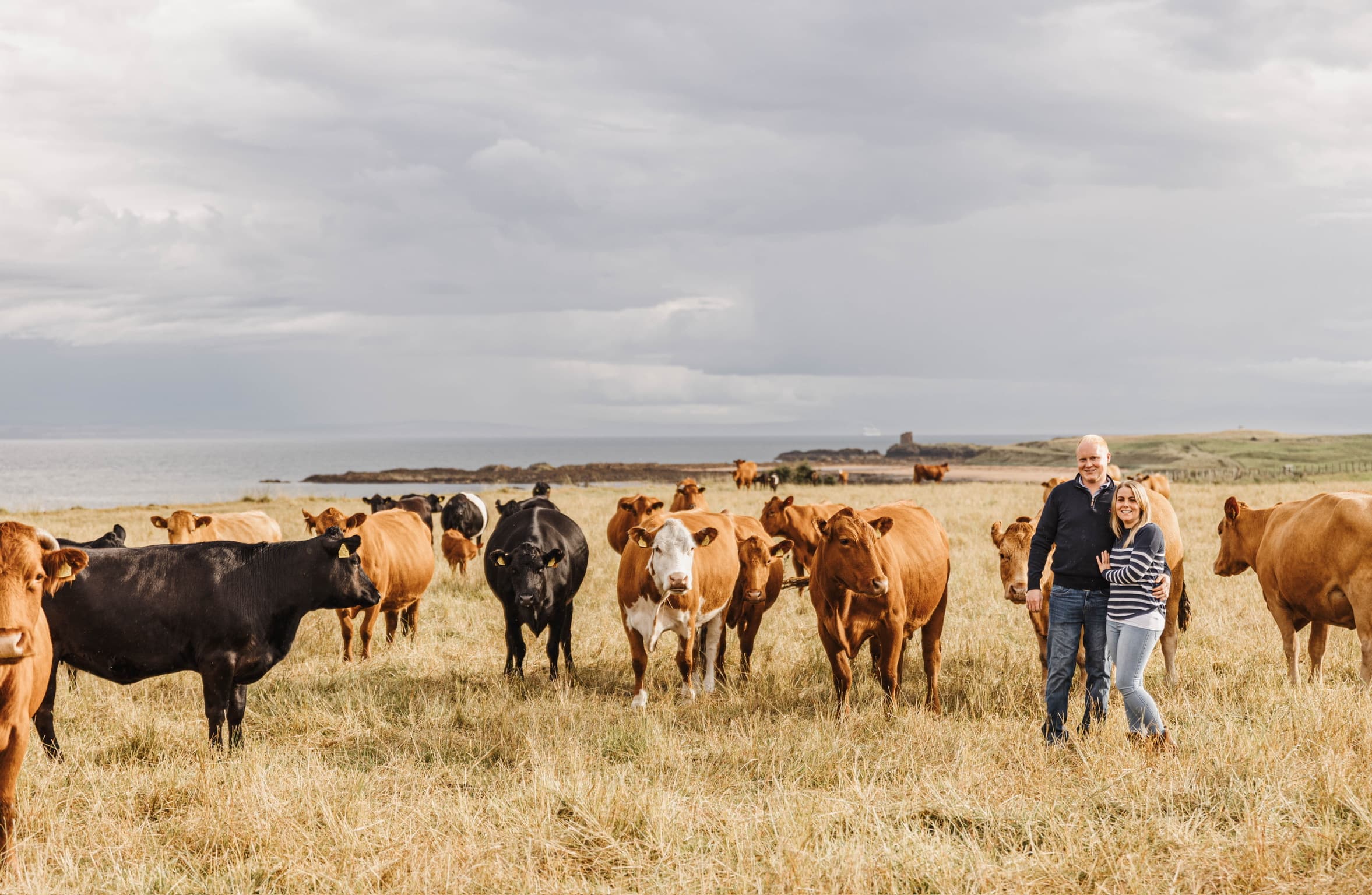 Claire & Matthew standing in a field with cattle