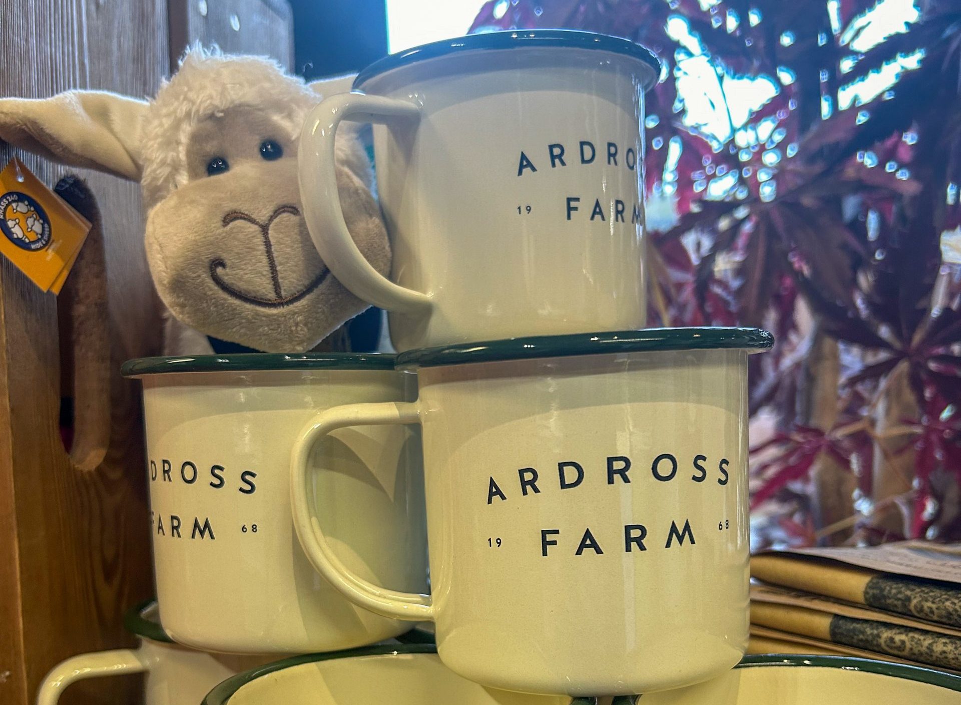 Toy sheep hiding behind Ardross Farm cups