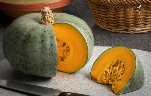 A Crown Prince pumpkin cut open to reveal beautiful orange flesh.