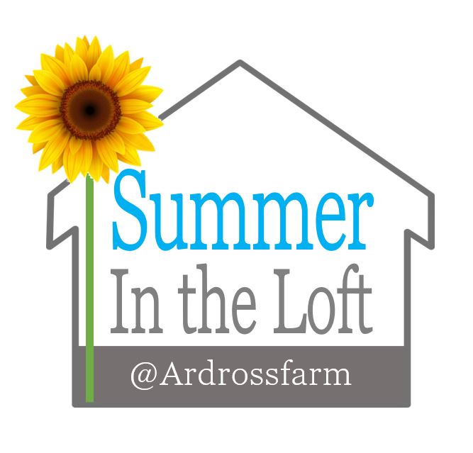 summer in the loft logo with sunflower enclosed in an outline of a barn