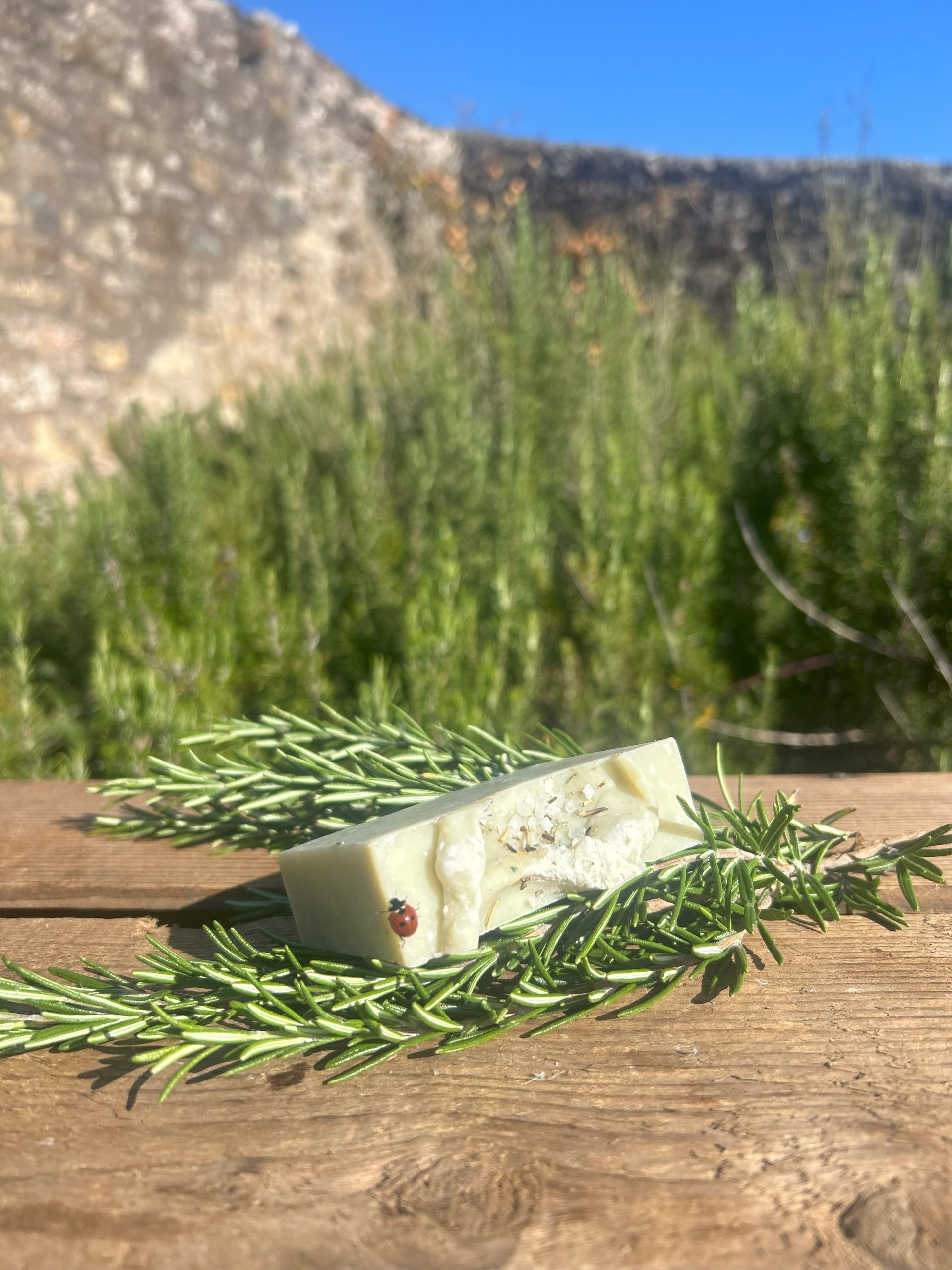 Rosemary tallow bar lying in rosemary