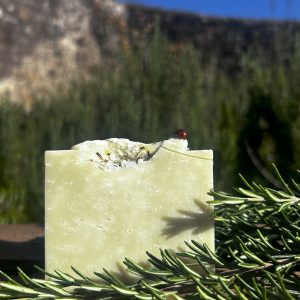 Tallow rosemary bar in garden