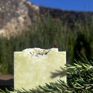 Tallow rosemary bar in garden