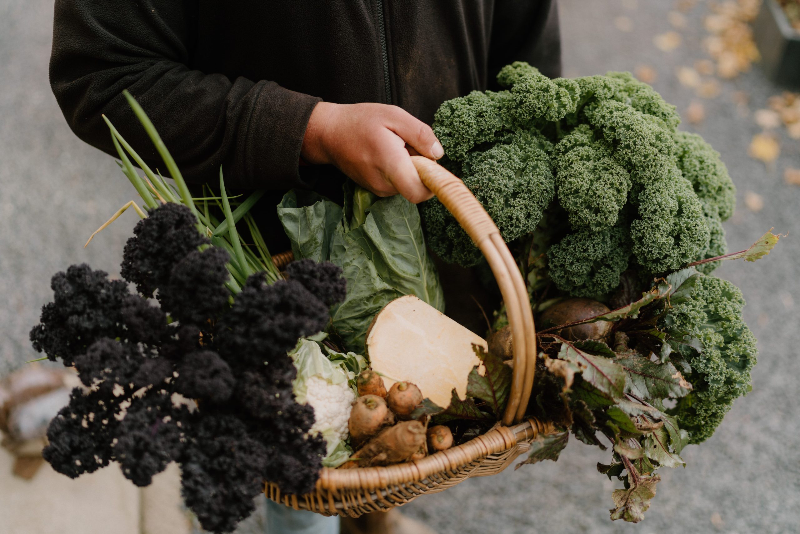 basket of autumn vegetables