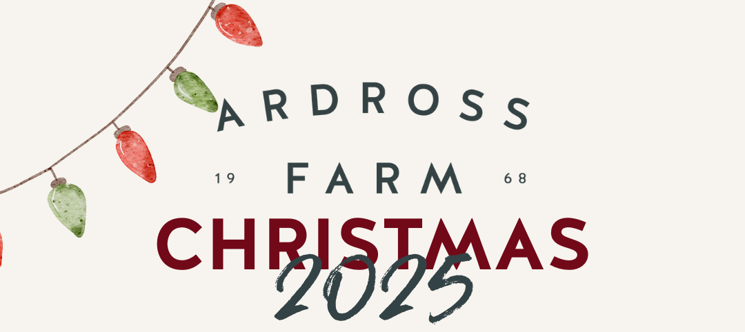 Ardross Farm Christmas