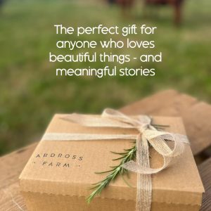 Gift box sitting on a wooden crate in a cattle field