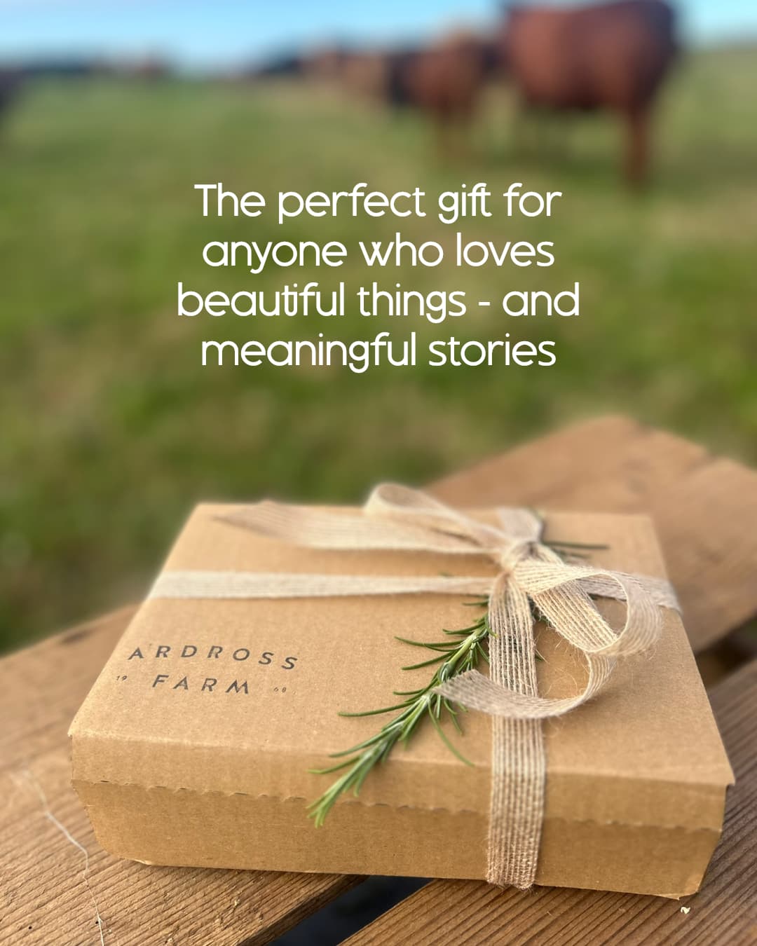 Ardross Tallow Gift Box 4 Gift box sitting on a wooden crate in a cattle field