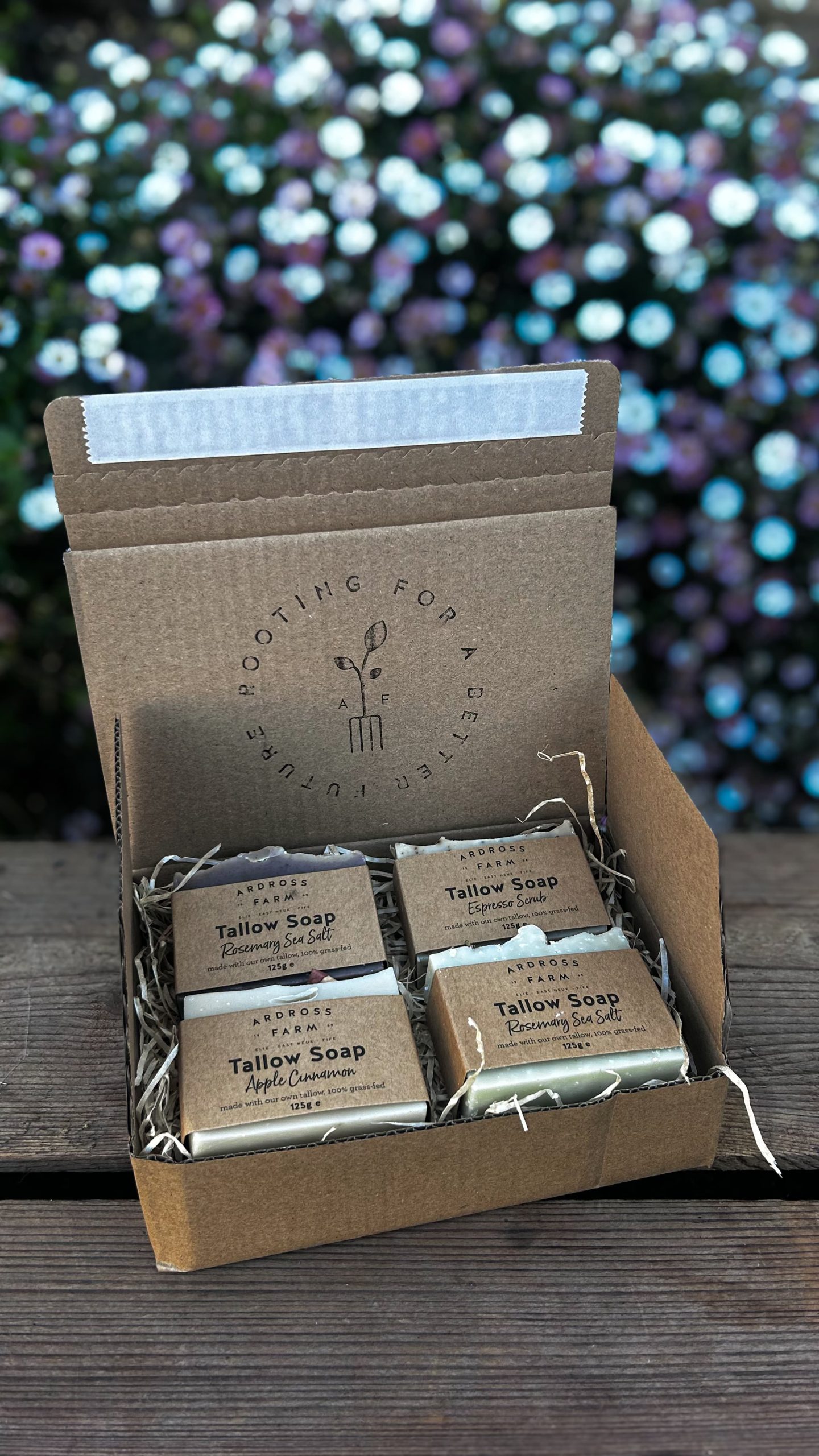 Tallow Soap gift box sitting open in front of flowers.
