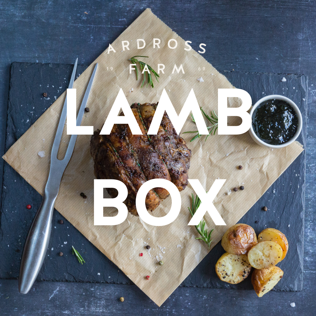 poster advertising lamb boxes