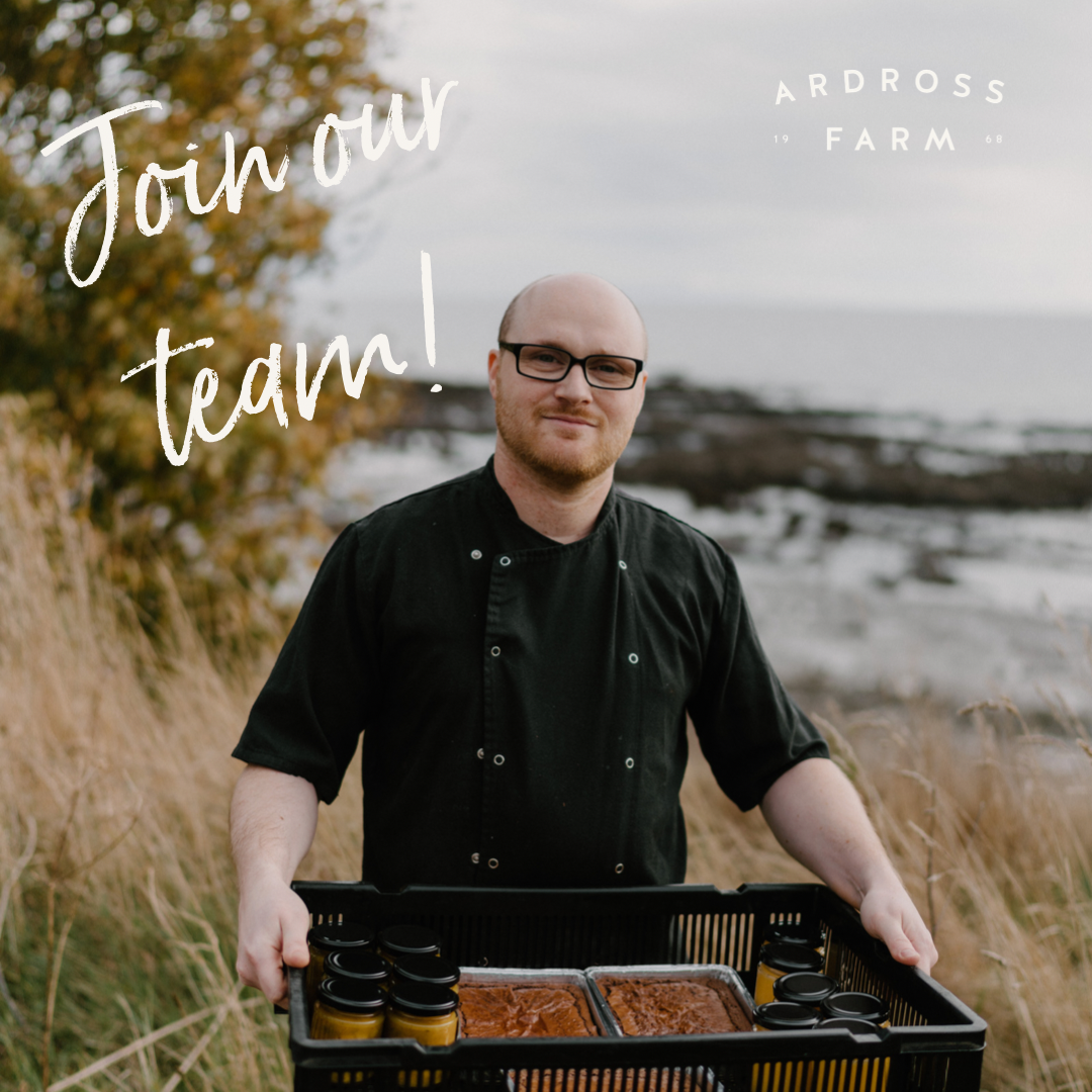 Chef standing on the shoreline holiday a black tray of brownies and lemon curd