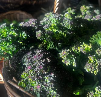 basket of purple sprouting broccoli in the sunlight