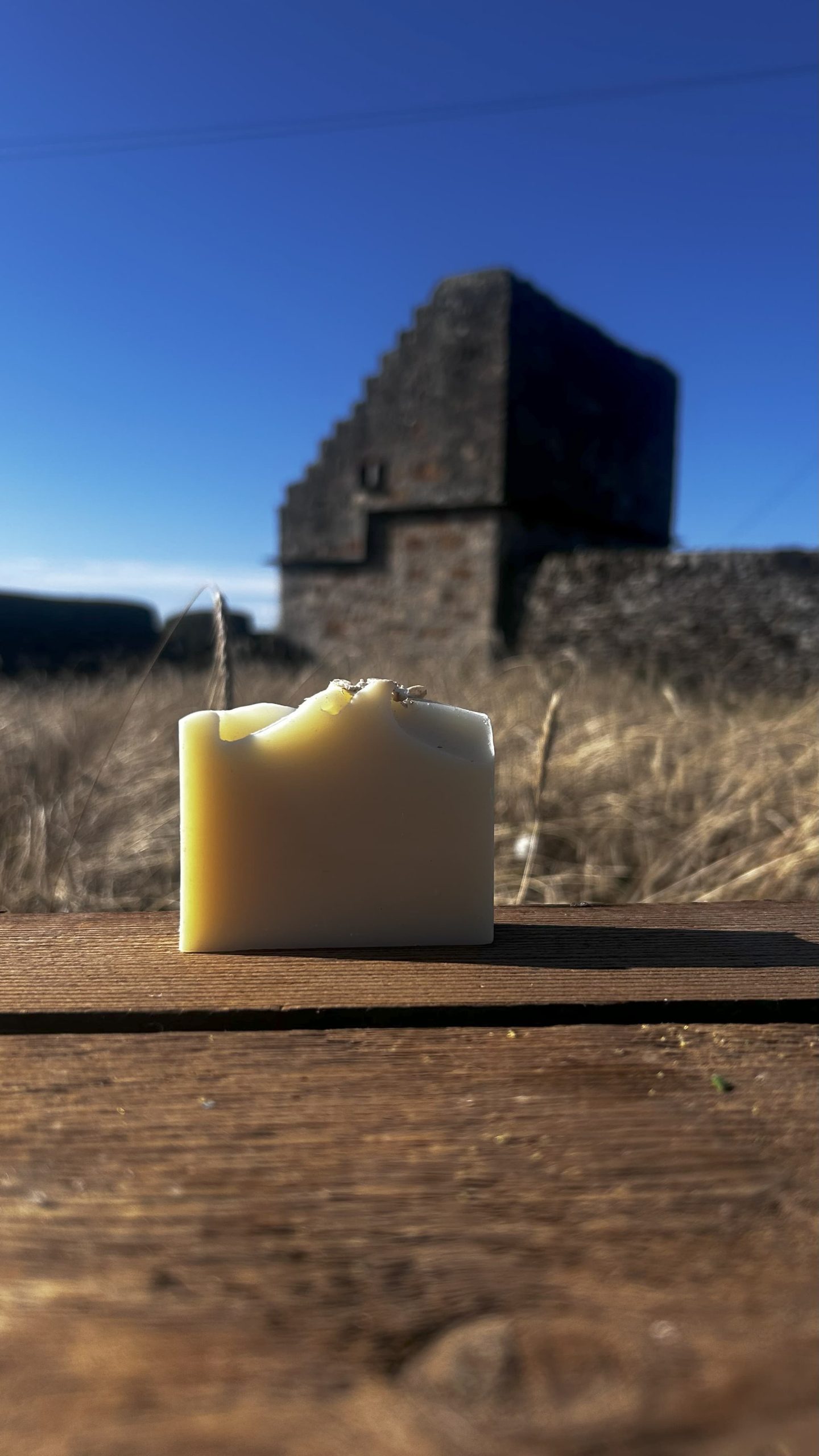 oat tallow soap bar on box in an oat field