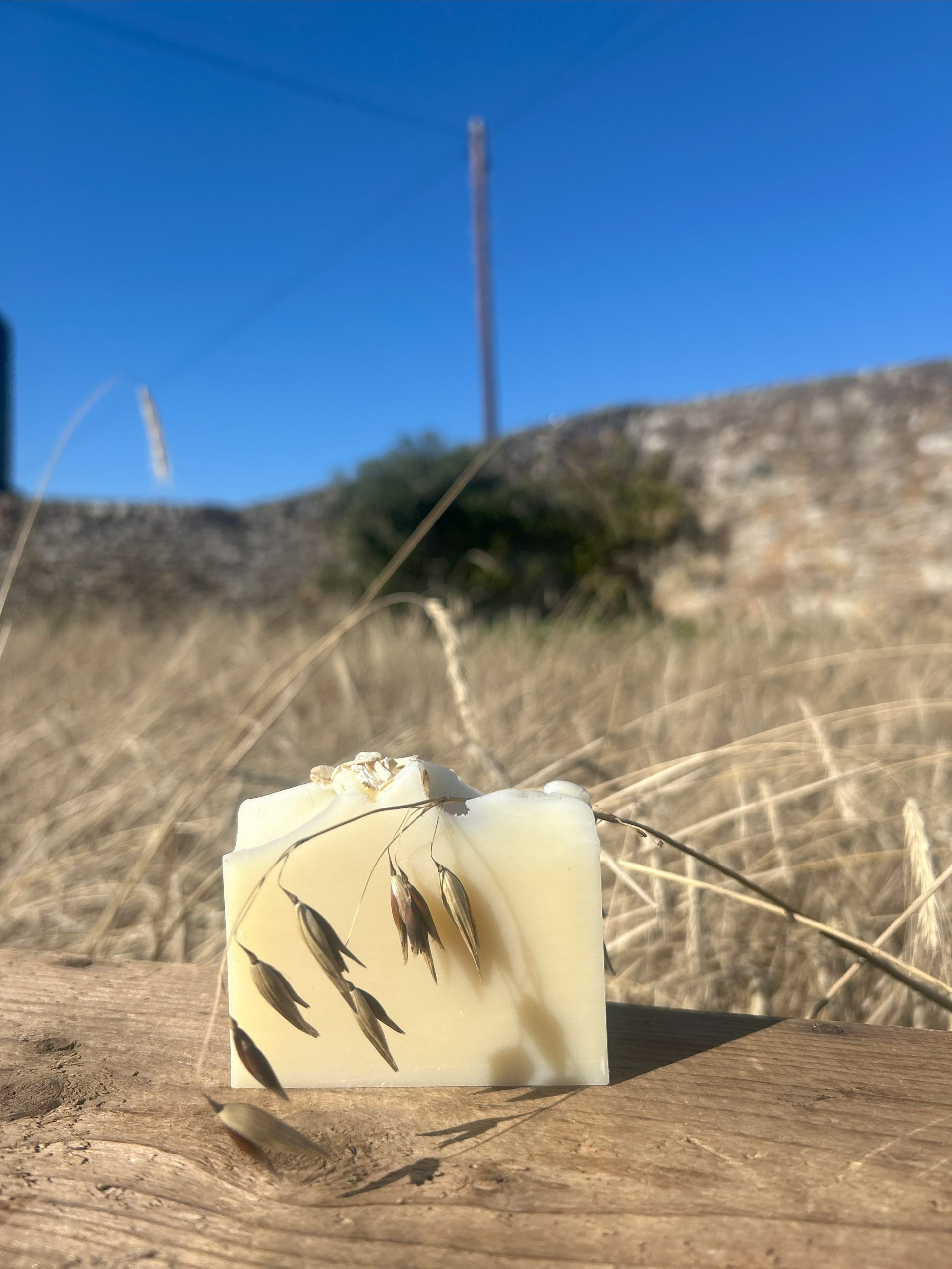oat soap bar sitting on a wooden box in an oat field.