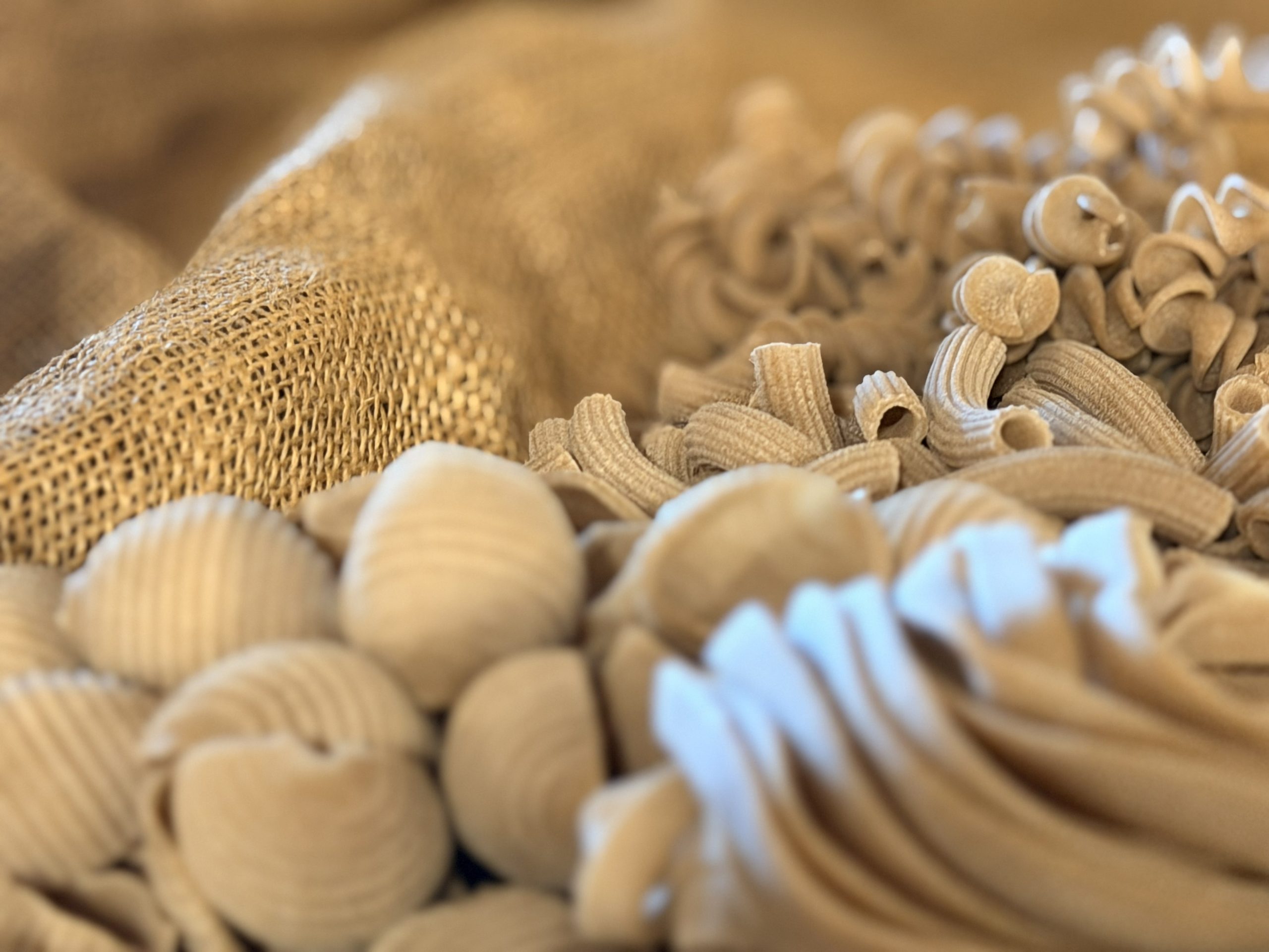 handmade pasta up close